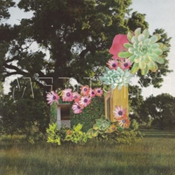 Home Everywhere - Vinilo en oferta