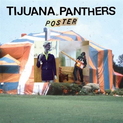 Poster - Vinilo