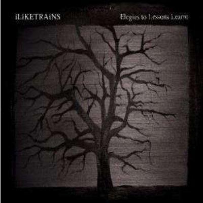 Elegies To Lessons Learnt - Vinilo