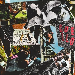 Modo eterno - Vinilo características