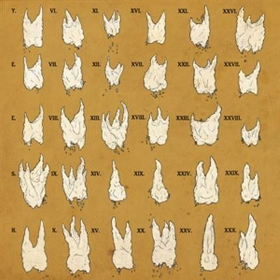 Confirmation Bias - Vinilo