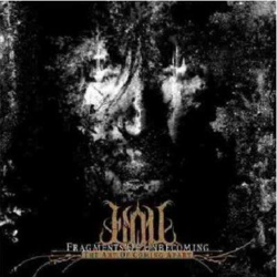 The Art Of Coming Apart características