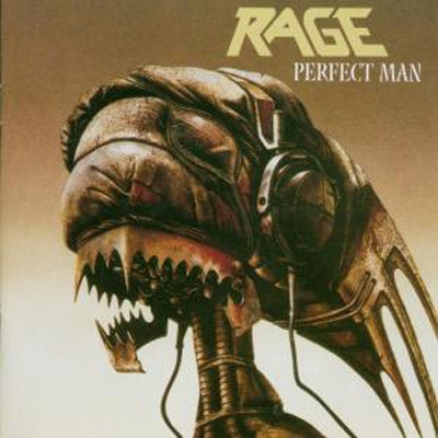 Perfect Man