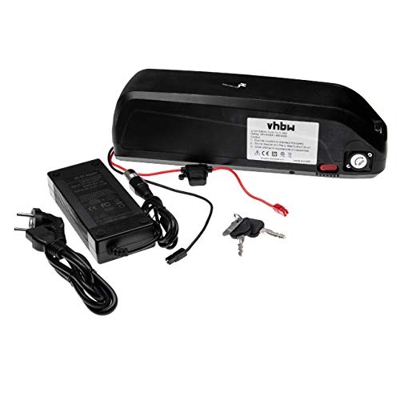 vhbw Batería de Tubo 9,6Ah 48V Li-Ion Incl. Cargador Compatible con Bafang BBS01, E-Bikes, Bicicleta eléctrica, pedelecs con Sistema Hailong