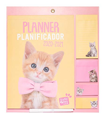 ERIK - Planificador mensual con imán para nevera 2020/2021 Studio Pets Cats, 30x34 cm