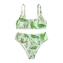 FUPOZ Bikini para mujer push-up, diseño de dinosaurios, con cintura alta, parte superior triangular, parte superior y pantalón, bañador deportivo de d características