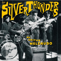 Me gritan melenudo - Vinilo características