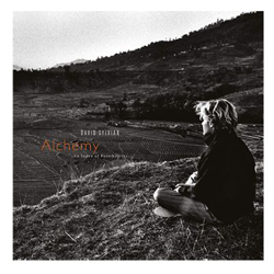 Alchemy – An Index of Possibilities - Vinilo en oferta