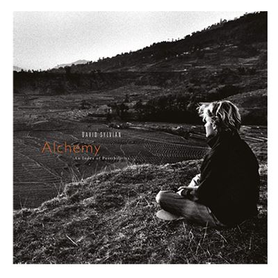 Alchemy – An Index of Possibilities - Vinilo