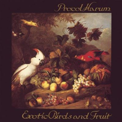 Exotic birds and fruit - 3 CD precio