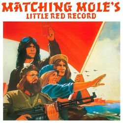 Little Red Record - Vinilo precio