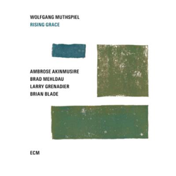 Rising Grace (Edición vinilo) precio