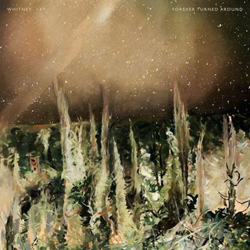Forever turned around - Vinilo características