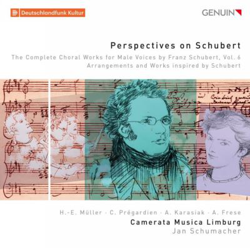 Perspectives On Schubert precio