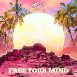 Free Your Mind - Vinilo en oferta