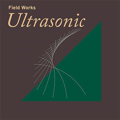 Field Works - Ultrasonic - 2 vinilos