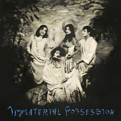 Immaterial possession - Vinilo precio