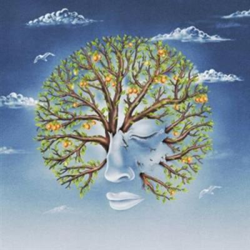 Life Was Coming In Through The Blinds - Vinilo características