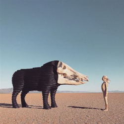 Dreaming Hunting in the Valley of the In-between - Vinilo características