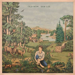 Old Wow - Vinilo características