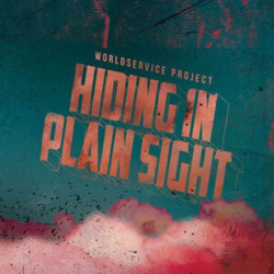 Hiding in plain sight - Vinilo características