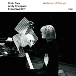 Andando el tiempo - Vinilo características