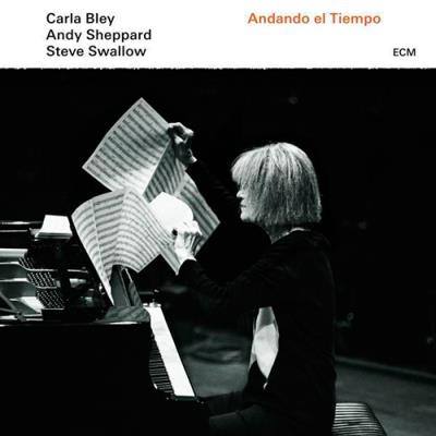 Andando el tiempo - Vinilo