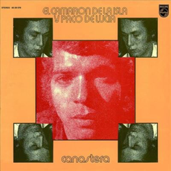 Canastera - Vinilo color características