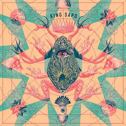 Niño Gurú - Vinilo características