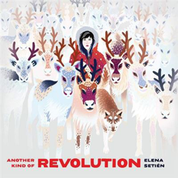 Another kind of revolution - Vinilo características