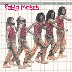 Pave The Way -Hq- - Vinilo en oferta