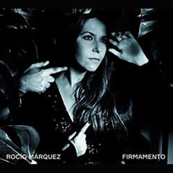 Firmamento (2 Vinilos) características
