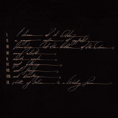 Dreams Are Not Enough - 2 vinilos