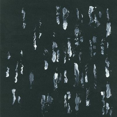 Amusers And Puzzlers - Vinilo