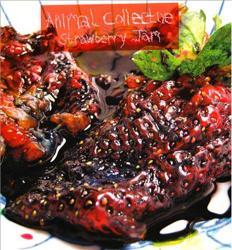 Strawberry Jam - Vinilo precio