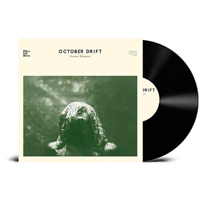 Forever Whatever - Vinilo