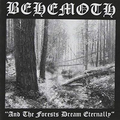 And the forests dream eternally - Vinilo