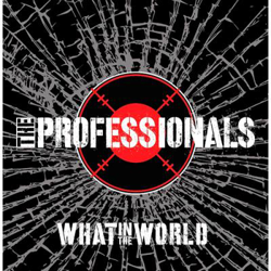 What in the World - Vinilo precio