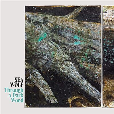 Through a Dark Wood - Vinilo