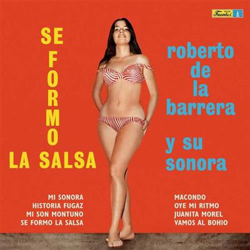 Se formo la salsa - Vinilo características
