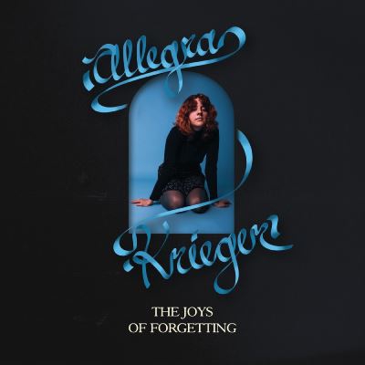 The Joys Of Forgetting - Vinilo