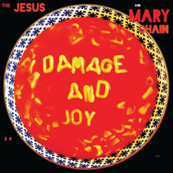 Damage and Joy - Vinilo características