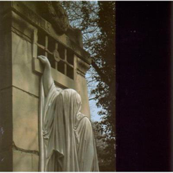 Within The Realm of a Dying Sun - Vinilo precio