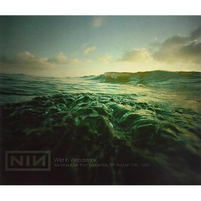 Wild In Woodstock - Vinilo