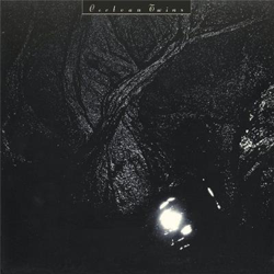 The Pink Opaque - Vinilo en oferta