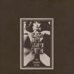 The Splendour of Fear - CD + single en vinilo precio