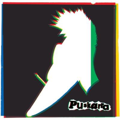 Box Set Puskarra - 2 Vinilos + 2 CDs