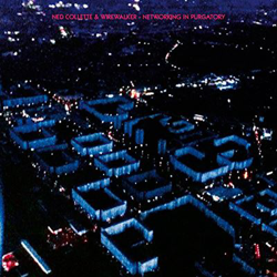 Networking in Purgatory - Vinilo precio