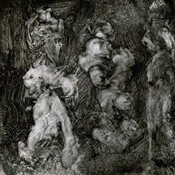 With Animals - Vinilo características