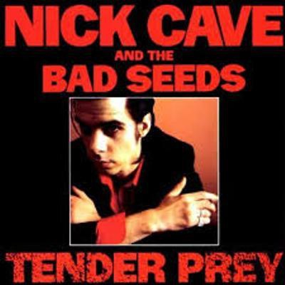 Tender Prey - Vinilo